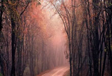 九游体育-包含C9不断突破！，姆巴佩连续五场比赛得分超过最后时刻胜出引发球迷热议的词条